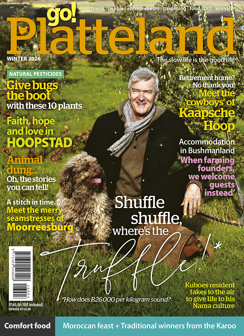 COVER ENG WEB WINTER26